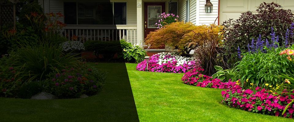 Holtville Landscapers