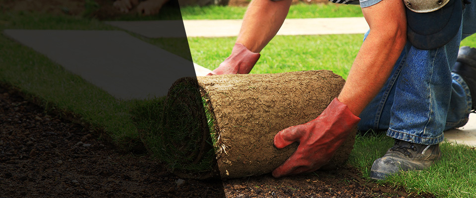 Holtville Landscapers